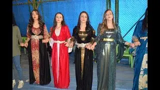 Şerwan Müzik Hozan Şerwan - Sêgawî Yeni Halay [Van'ın Müzisyenleri]