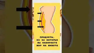 Живот уходи: Топ продуктов обеспечивающих вас жиром