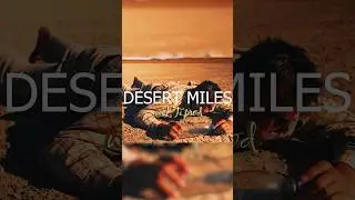 #countryrock #guitartypebeat #grungetypebeat #morganwallen #lukecombs #jellyroll #desert #musicvideo