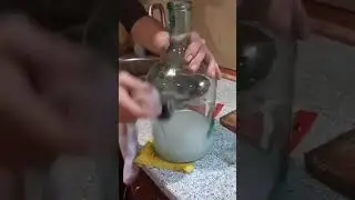 Zekice
