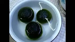 Кладофора.