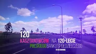 PBSwC - kasztanowce