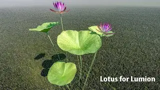 Lotus high quality and motion in the wind for Lumion | Lumion Easy