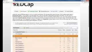 REDCap Topic Session - Avoid REDCap User Pitfalls