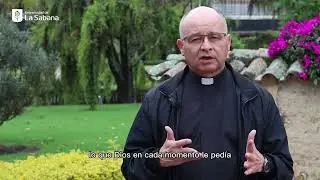 Conmemoración del Día de San  José