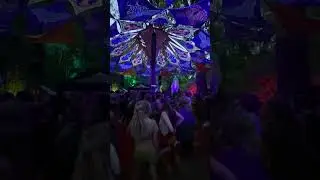 Cycles of life - Dusk dancing