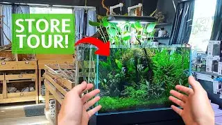 Touring A Very Special Planted Aquarium Store!