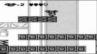 Wide Screen Test