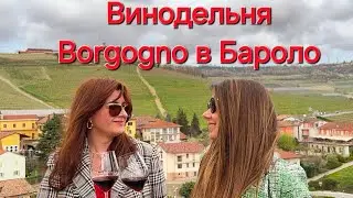 Винодельня BORGOGNO в сердце Бароло