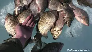 Spring fishing for crucian carp from ice. Fishing for crucian carp.