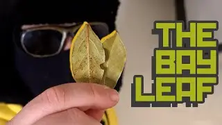 THE BAY LEAF - Life of Boris / uamee / Alan Aztec (hardbass music video)