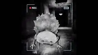 Сontent warning - lost footages №2