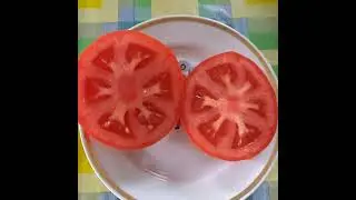 Агилис F2.