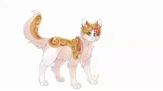 WarriorCats character design- ClearPearl