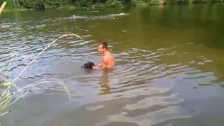 Самый умный кот Леопольд купается в пруду