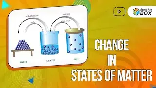Change In States Of Matter | Grade 5 Science Experiment | Sparklebox
