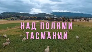 Затерянный рай - остров Тасмания.