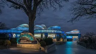 2022 IES Illumination Award: SUZANNE AND WALTER SCOTT AQUARIUM, Omaha, NE