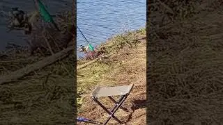 🎣 Fish Inspector Tries to Steal Our Catch 🌊 