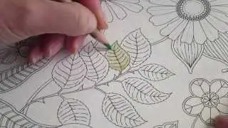 Secret Garden colouring book, How I colour a leaf (how to)