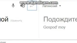 Чудеса перевода