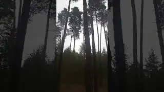 Сильный ищет Бога, а слабый виноватого
