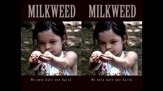 Milkweed (trailer)