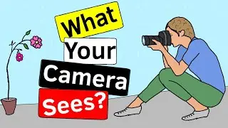 What Does Your Camera See - in short and simple | How does a camera work?