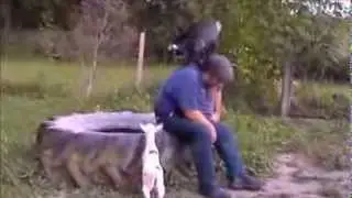 Jax and Patches Having Fun With Chris