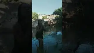 ligo 45