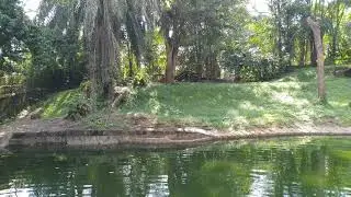 Zoo Taiping, Perak - Pak Belang