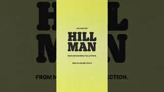 Cool Typefaces to Use on Your Next Graphic Design Project