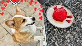 Hammy and Olivia Cook Valentine's Pancakes for Mom