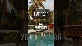 1 апреля. Лунный календарь. Убывающая луна. #лунный #календарь #лунныйкалендарь