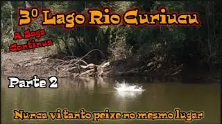 Lago Curuicu parte 2! A saga dos monstros!
