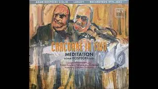 J.S.Bach CHACONNE IN TWO.      Adam Kostecki  Violin & Viola.        Painting  Shiju Beijing