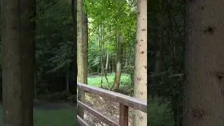 У вас в семье есть такое 🤣 #средство от Комаров?