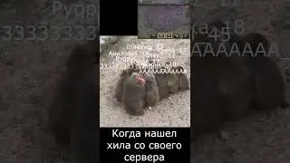 🤣Когда нашел хила в центре детрона #LINEAGE2   😎 #руфус