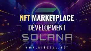 Solana NFT Marketplace Development | Bitdeal