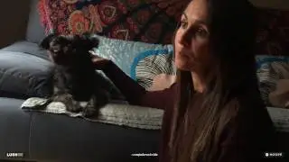 Compañeros de Vida: Brisca
