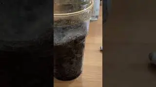 #слива
