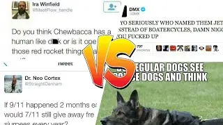 22 Important Questions Posed By The Internet That Need Answers 💎