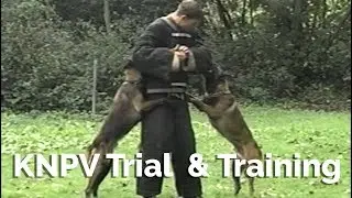 1997 KNPV 1 & Appui Kamp's Club