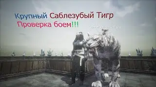 Крупный Саблезубый Тигр. Проверка боем!!!