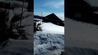Весне рады все!