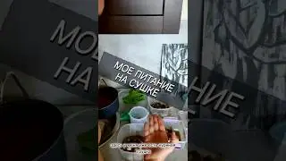 МОЕ ПИТАНИЕ НА СУШКЕ