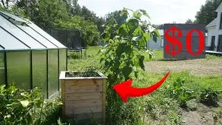 FREE Wood to Raised Garden Bed: When Woodworking Meets Gardening! - Self Sufficient Vlog #3
