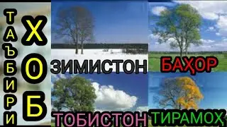 Таъбири хоб:Фаслхои сол дар хоб,- Зимистон дар хоб,Бахор дар хоб,Тобистон дар хоб,Тирамох дар хоб,
