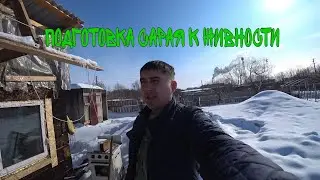 Зашиваю пол и потолок в сарае ОСП листами.