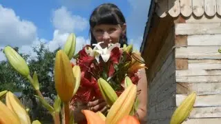 Будни. Огород, куры, цыплята, лилии.